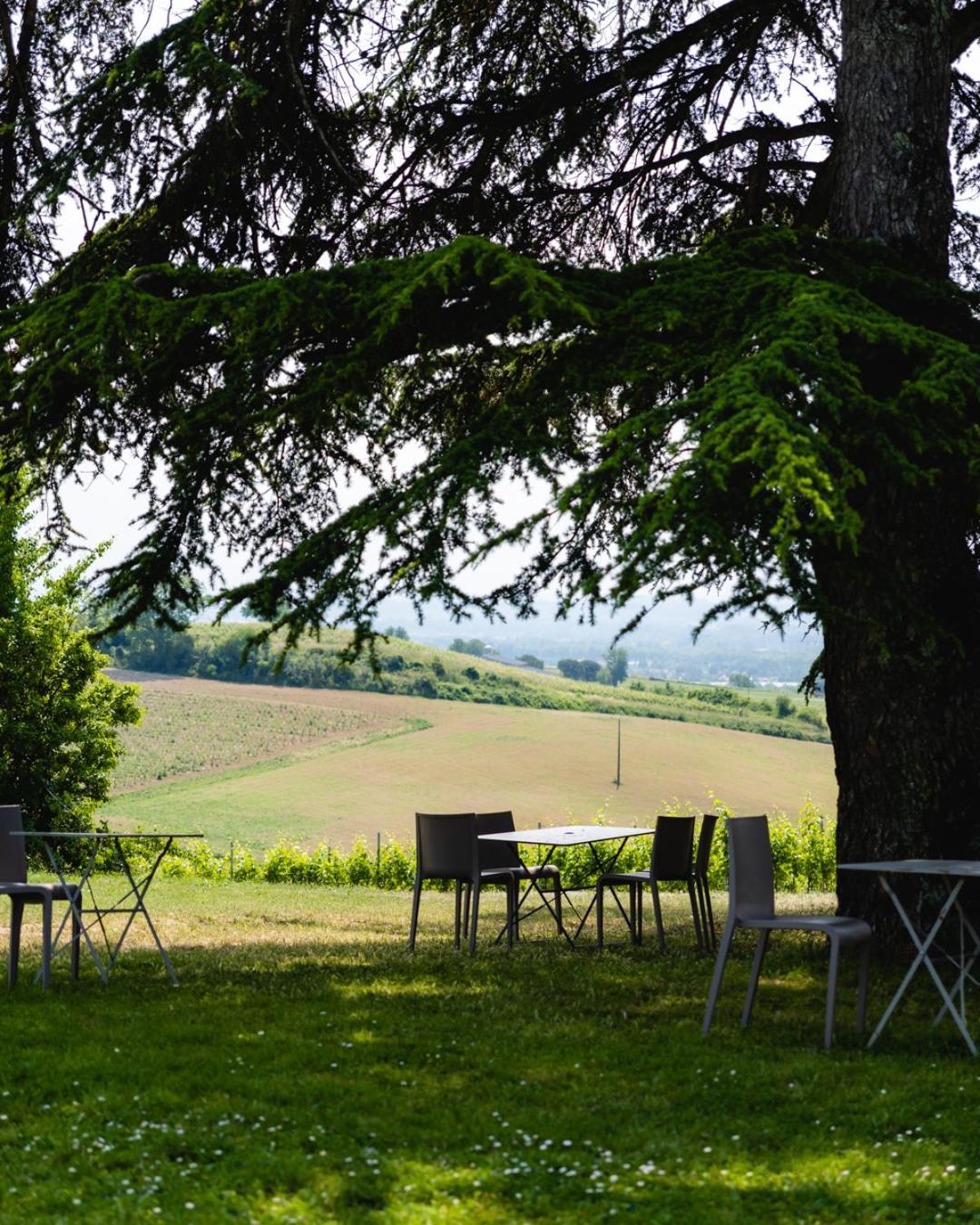 Chateau De Tauzies, The Originals Relais Gaillac Exterior photo