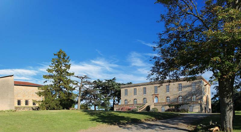 Chateau De Tauzies, The Originals Relais Gaillac Exterior photo