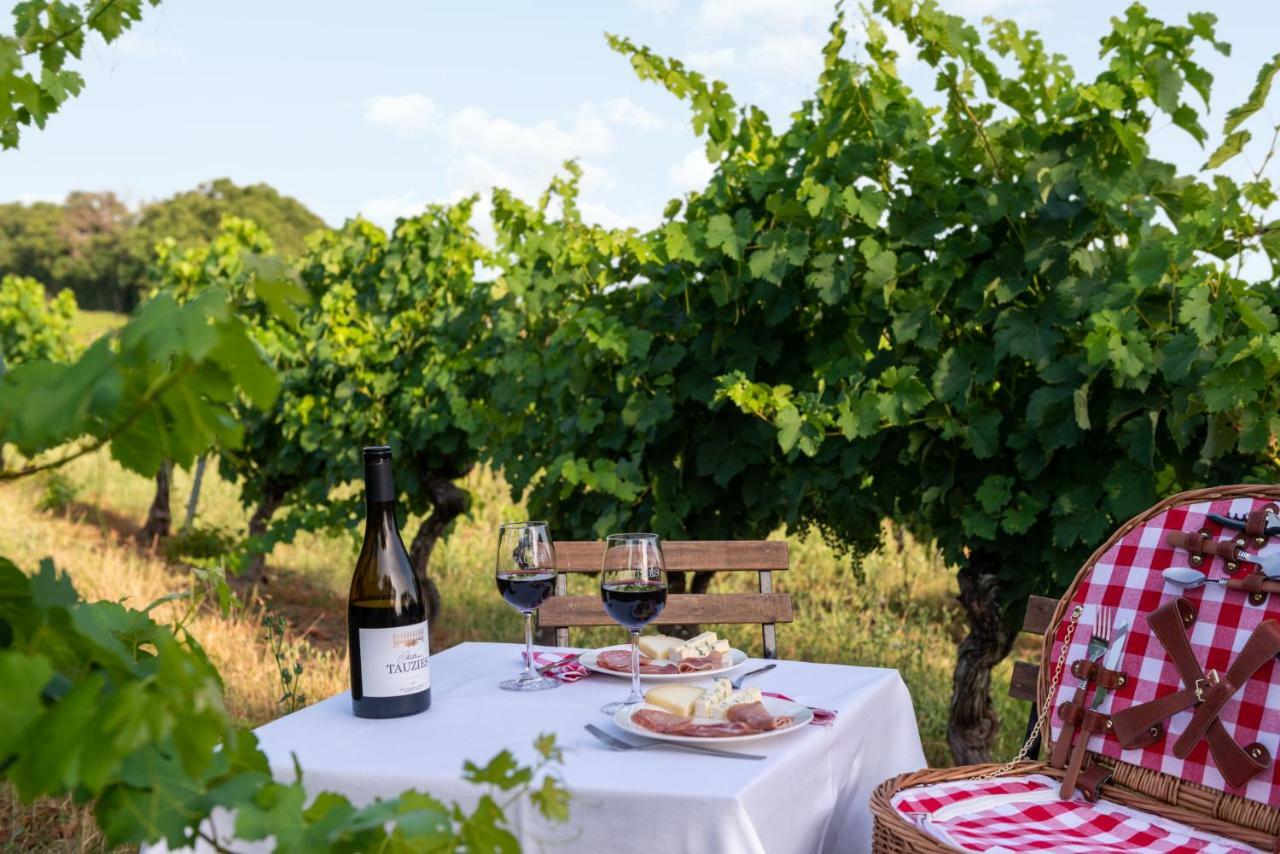 Chateau De Tauzies, The Originals Relais Gaillac Exterior photo